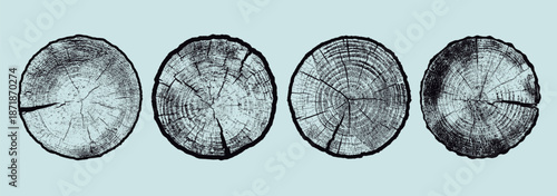 Three detailed tree ring patterns with brown wood grain texture set. Natural wooden cross section designs for eco-friendly art, rustic decor, nature backgrounds, packaging, posters, organic design.