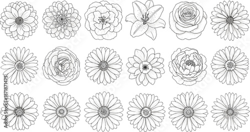 Hand drawn floral line art collection featuring detailed blooming flowers for botanical illustration, coloring pages, wedding design and decorative projects