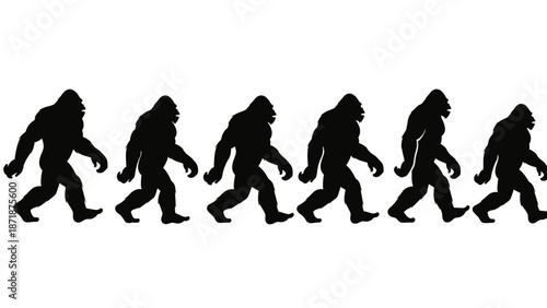 Silhouettes of humans evolving in a sequence on a white background