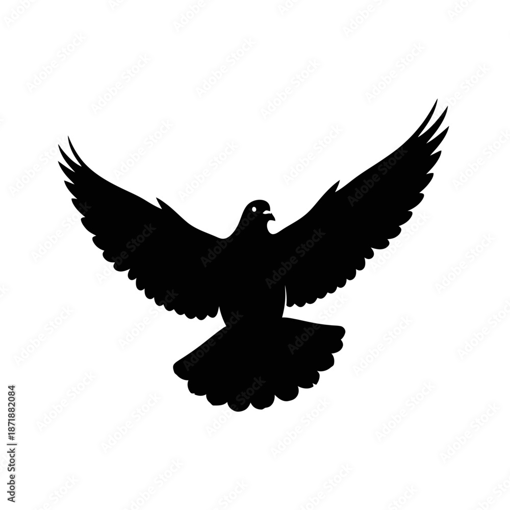Obraz premium A striking silhouette of a bird with wings outstretched in flight