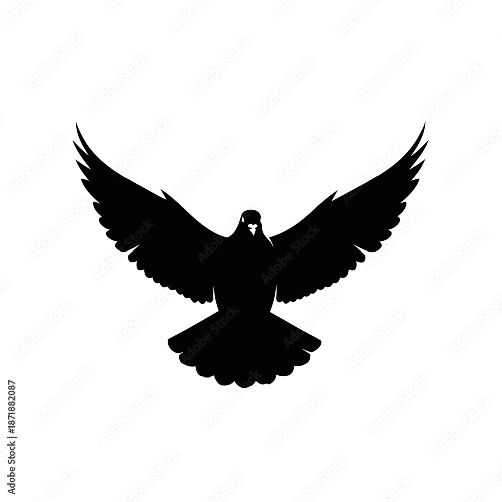 Obraz premium A striking silhouette of a bird with wings fully extended in flight