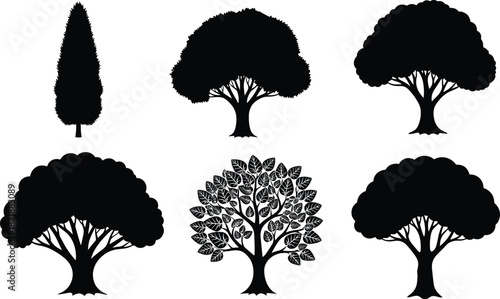 Black silhouette tree collection, set of isolated deciduous and evergreen trees, forest plant icons for nature landscape design, garden and park vector elements.