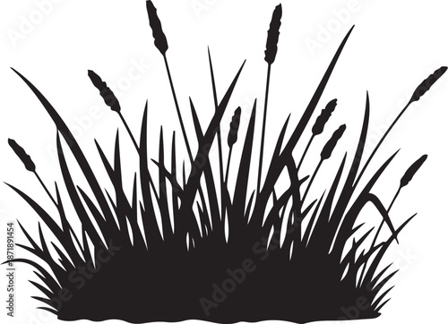 Black Silhouette of Cattails and Grass on White Background