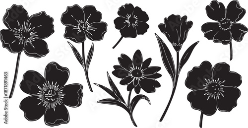Black and white flowers illustration set