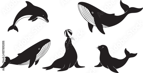 Black silhouettes of whales and seals on white background