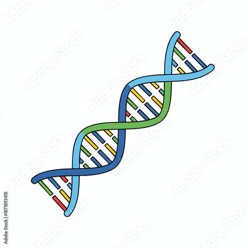 Colorful DNA Double Helix Structure
