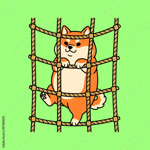Cute Shiba Inu Dog Climbing on a Rope Net.