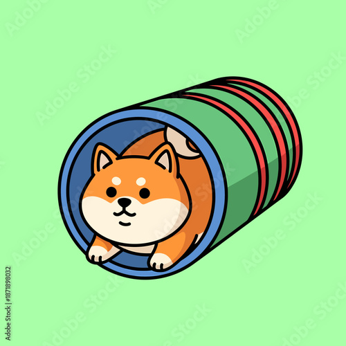 Cute Shiba Inu Dog Playing in Colorful Tunnel.
