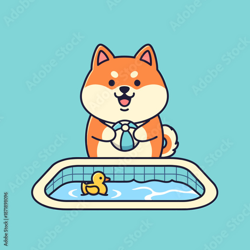 Cute Shiba Inu Dog Playing with Rubber Duck in Pool.