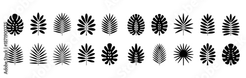 Collection of black tropical leaf silhouettes including monstera and palm fronds, arranged in a horizontal row on a white background