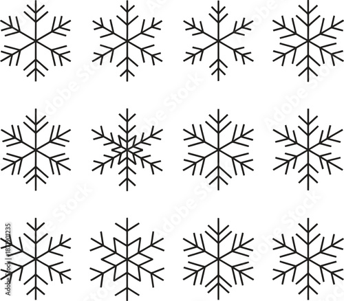 Twelve black and white snowflakes in three rows of four