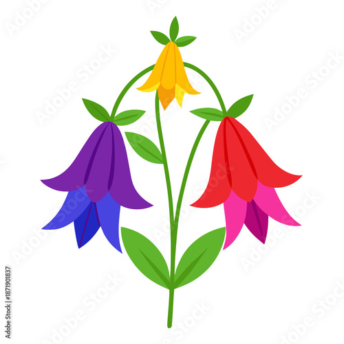 campanula lactiflora vector colorful on white background 
