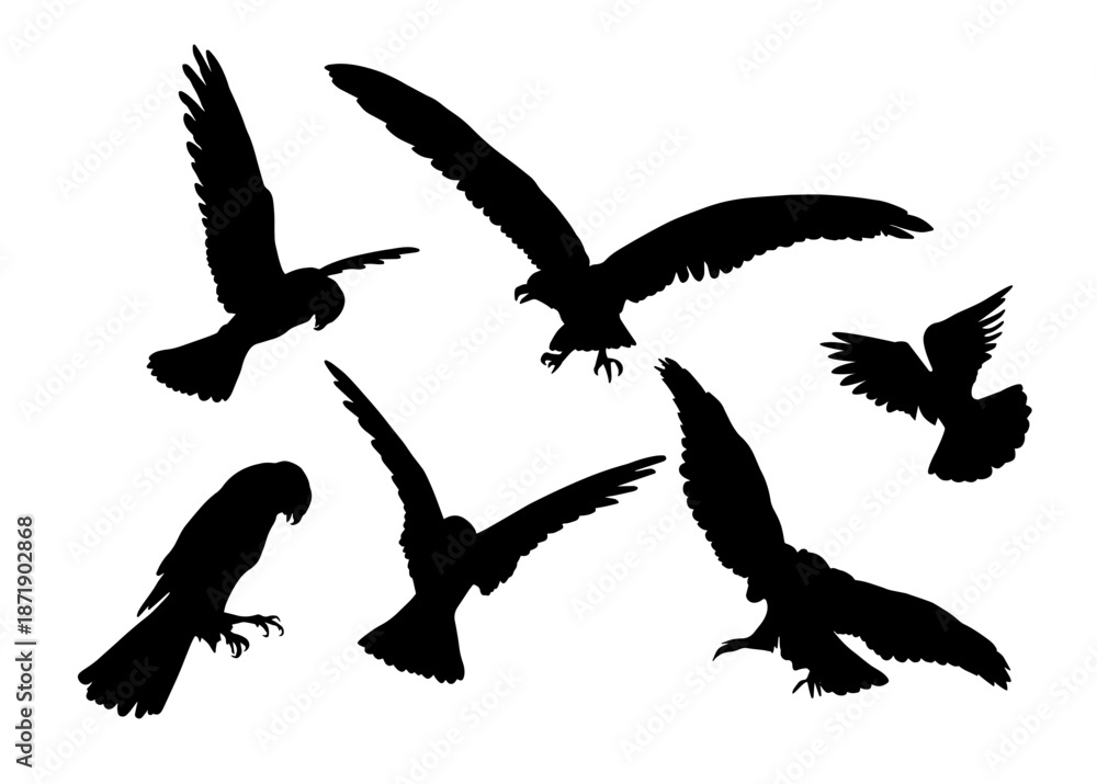 Obraz premium Set of eagle bird silhouettes. Birds flying and sitting. hand drawing. Not AI. Vector illustration