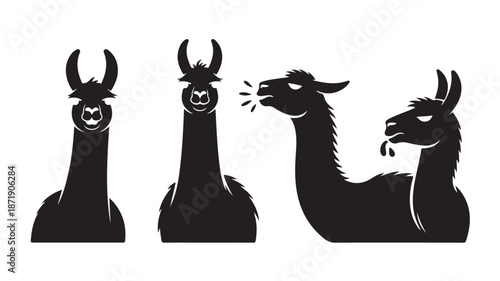 Llama Silhouettes Talking on White Background