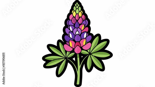 Vibrant lupine flower with layered petals in purple, pink, and yellow, set against green leaves