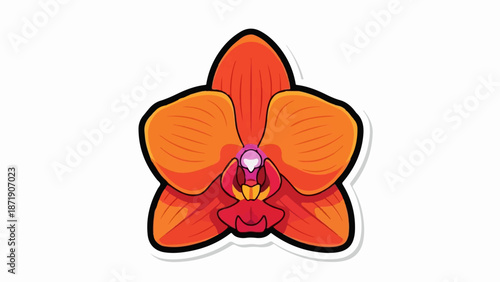 Vibrant orange orchid bloom with detailed petals and center