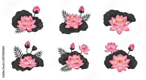 Watercolor lotus flower arrangements with dark green leaves in a decorative set
