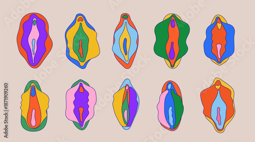 Female reproductive system set. Anatomical vulva, vagina diagrams in a clean, educational style. Beauty, health concept. Medical for education, awareness, biology, gynecology, women’s health topics.