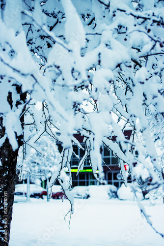 Winter cityscape with snow 