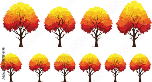 Autumn trees vector illustration set, colorful fall foliage forest plants isolated on white background for seasonal landscape design projects