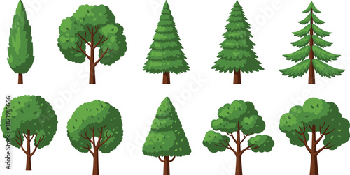 Cartoon tree collection vector illustration set, deciduous and conifer trees isolated on white background for landscape design assets projects elements