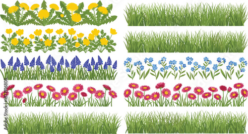 Colorful spring garden borders with flowers and grass, detailed botanical vector illustration set for landscaping meadow design elements
