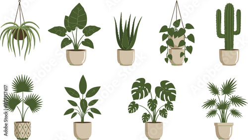 Collection of indoor potted plants including succulents, tropical leaves, cacti, and hanging greenery illustrated in modern vector style