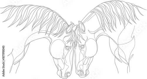 Elegant one line drawing depicts the gentle connection between two horse heads touching with flowing manes against a stark white background