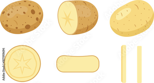 Whole and sliced potatoes set, vegetable illustration showing cuts, slices, sticks, and cross-sections for food and cooking designs