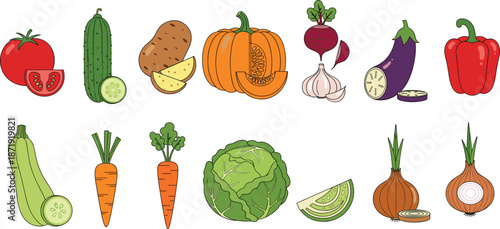 Fresh vegetables set illustration with tomato, cucumber, potato, pumpkin, beet, eggplant, pepper, carrot, cabbage, onion, and greens