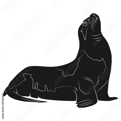 seal animal silhouette vector design