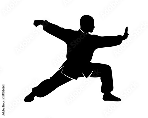 Lunar year kungfu icon vector 
