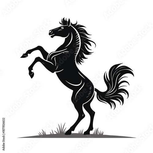 Majestic black horse rearing up on hind legs in grassy field
