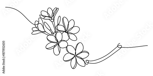 A simple line drawing of sunflower seeds. Vector, illustration