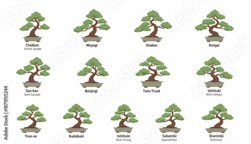 Bonsai Tree Illustrations in Various Styles.