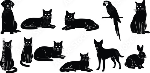 Silhouettes of domestic pets including various cat breeds dogs a parrot and a rabbit isolated on a clean white background