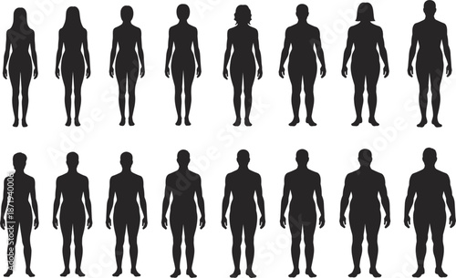 Male and Female Body Type Silhouettes vector illustration