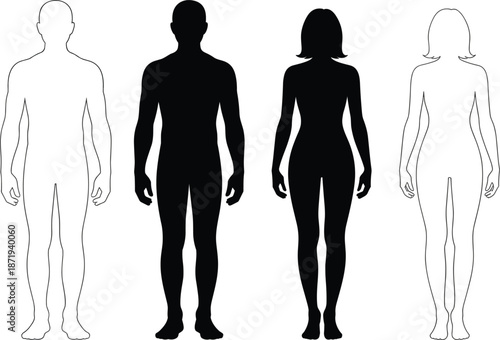 Male and Female Human Body Outlines and Silhouettes on White Background Keywords: male, female, human, body, outline, silhouette