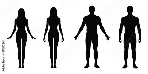 Two Female and Two Male Human Body Silhouettes on White Background vector illustration