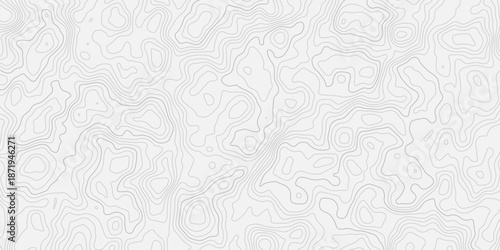 Flowing topographic lines visualizing earth surface and terrain depth.
Modern abstract mountain relief design on white background.