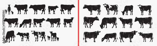 cow illustration set, farm animal drawing, cattle livestock artwork, dairy cow design, hand drawn farm clipart, ranch animal illustration, stock cow artwork

