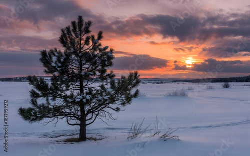 View of the Sun Looking at the Snow