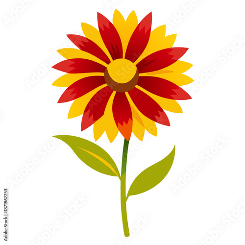 gaillardia gallo yellow vector colorful on white background 
