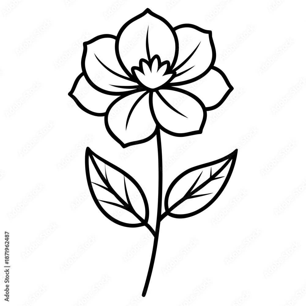 Obraz premium geum urbanum flower vector line art on white background 