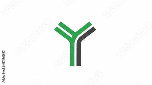 Green and black antibody protein structure.