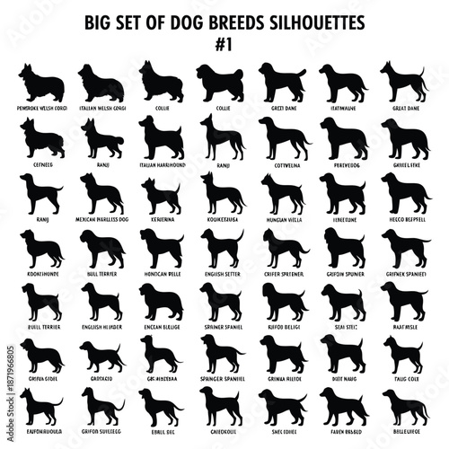 Collection of diverse dog breed silhouettes displayed in a grid pattern