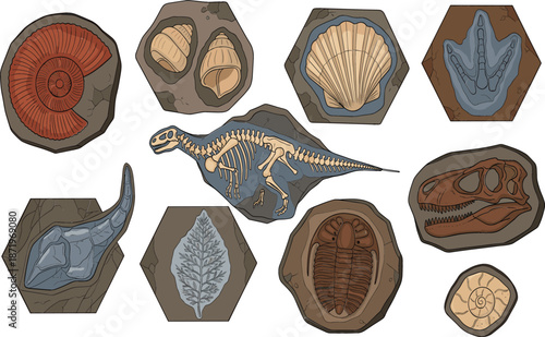 Collection of prehistoric dinosaur fossils and ancient imprints including T-Rex skull skeleton shells leaves and trilobite on stone background flat vector illustration.