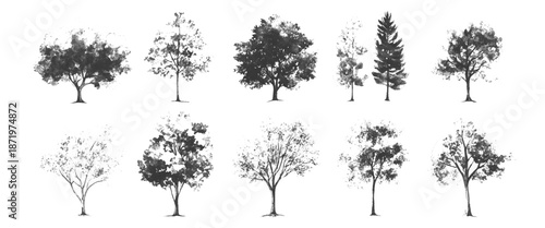Vector set of sketch style of silhouettes of trees white background.