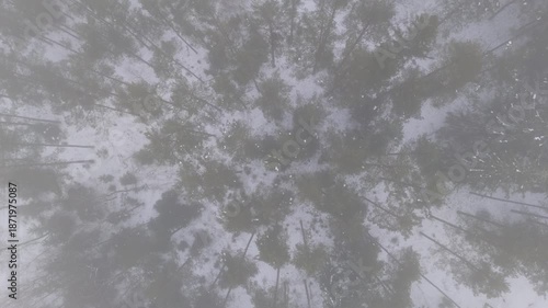Slow aerial push forward over snowy forest canopy in fog