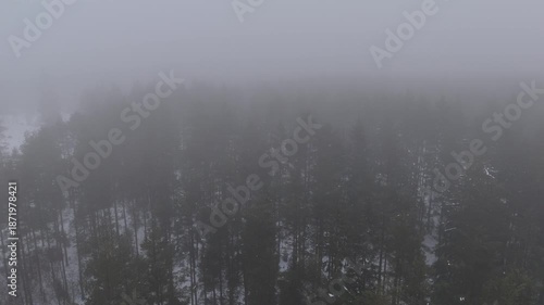 Slow aerial push forward trough foggy winter forest